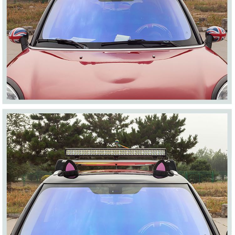 funny auto roof sticker funny auto roof sticker
