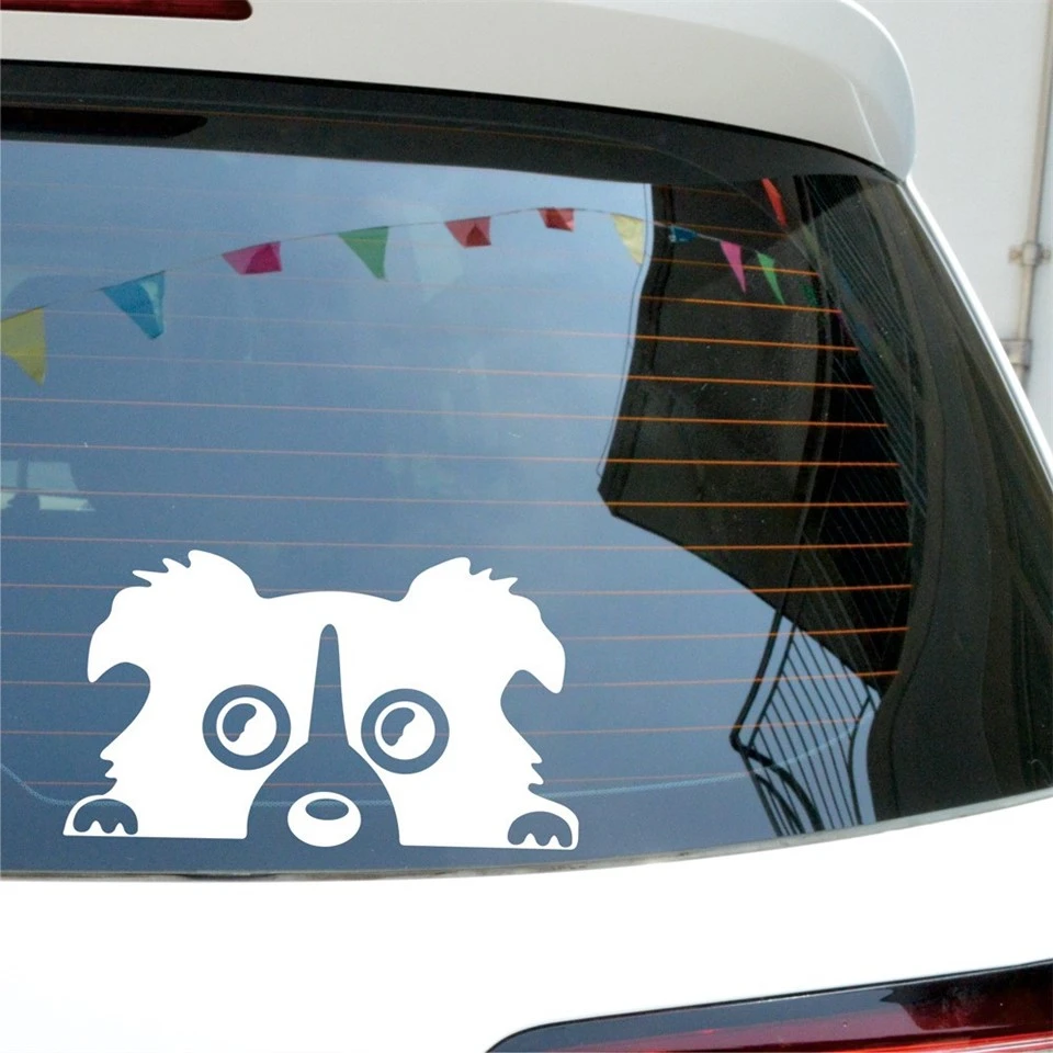 EITE Custom Animal Pattern Waterproof Sticker