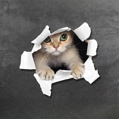 3D Animal Car Sticker Cartoon do samochodu
