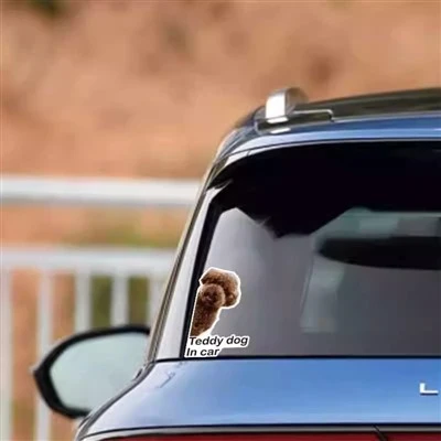 Naklejki na okna winylowe Animal Car
