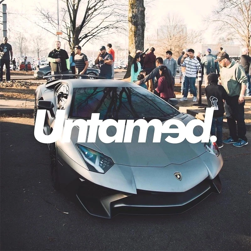 Untamed Car Front Tylne Windows naklejki