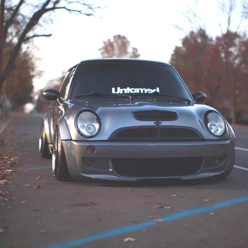 Untamed Car Front Rear Windows Stickers best